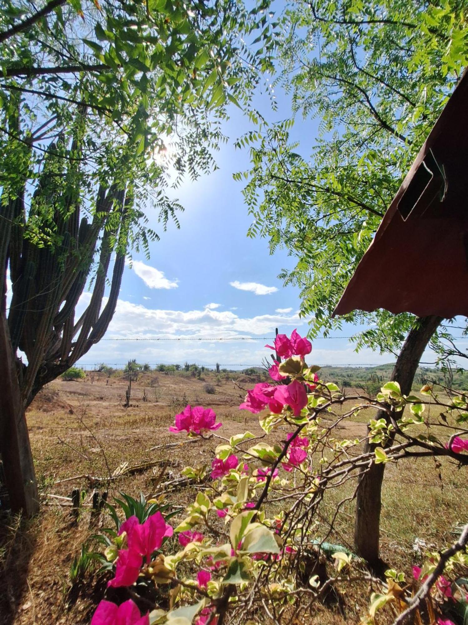 Alojamiento Casa De Campo Los Cactus Villavieja Exterior foto