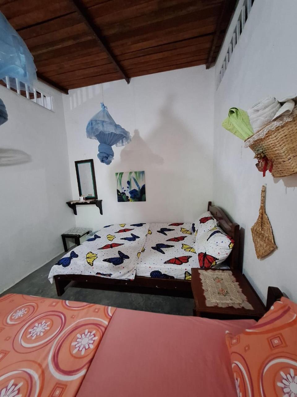 Alojamiento Casa De Campo Los Cactus Villavieja Exterior foto
