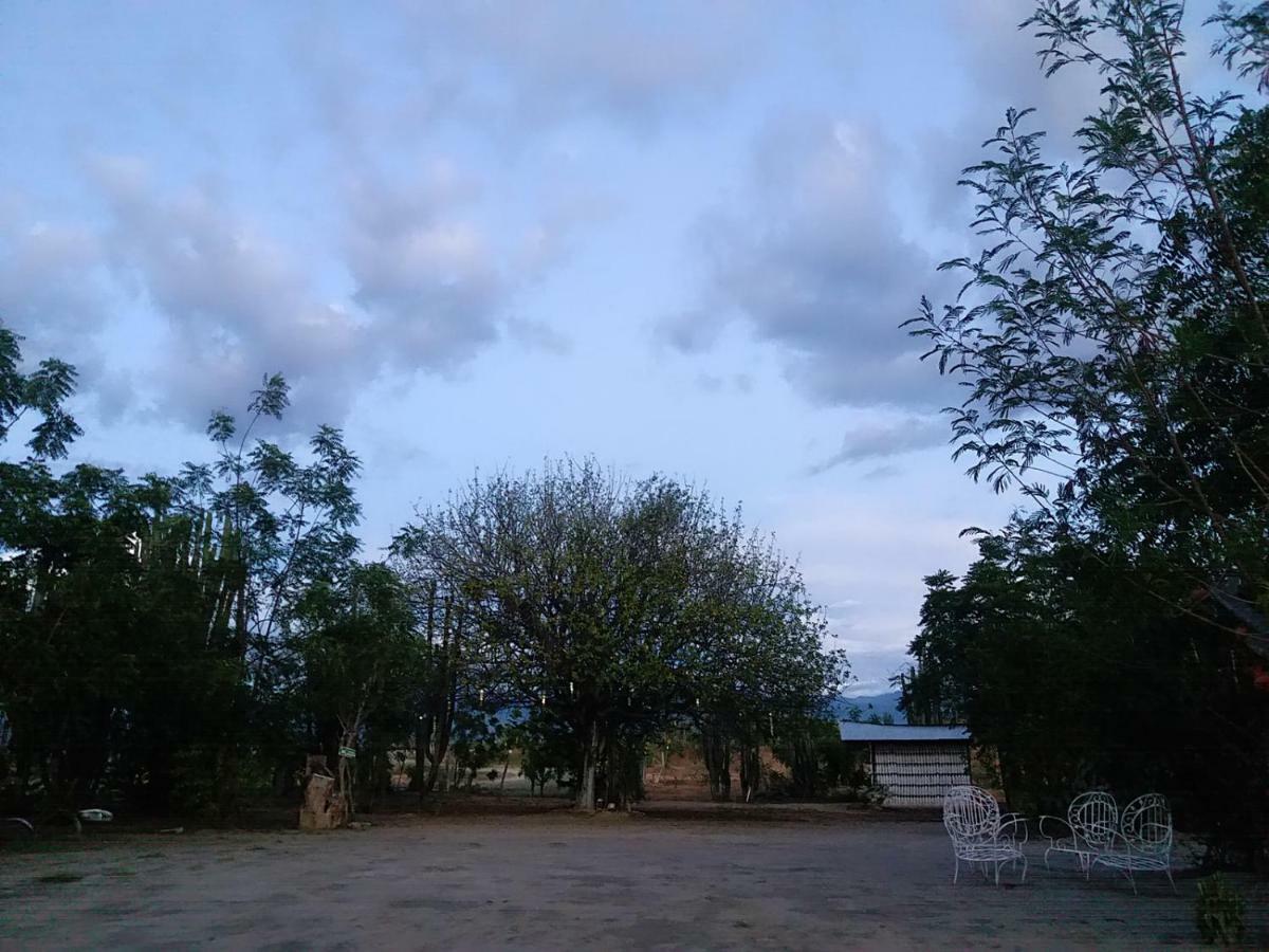 Alojamiento Casa De Campo Los Cactus Villavieja Exterior foto